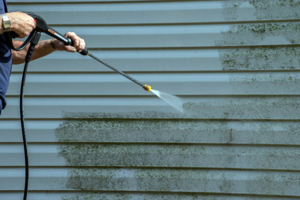 Best Paint Preparation  in Bridgeport, MI