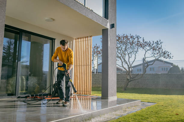 Best Solar Panel Cleaning  in Bridgeport, MI