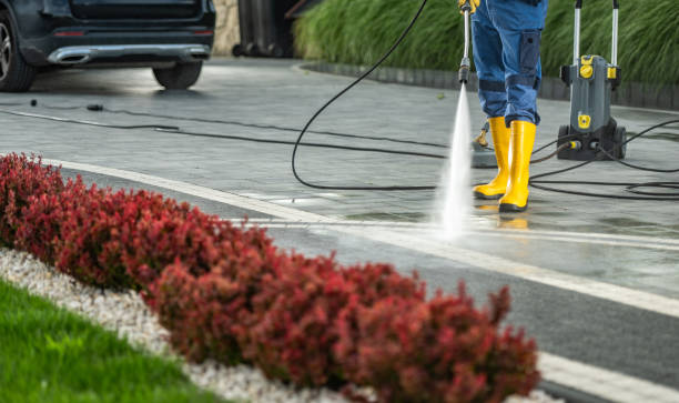 Best House Exterior Washing  in Bridgeport, MI