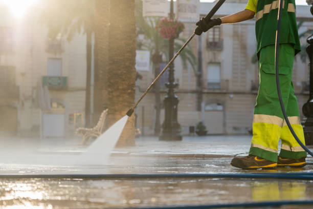Best Gutter Cleaning  in Bridgeport, MI